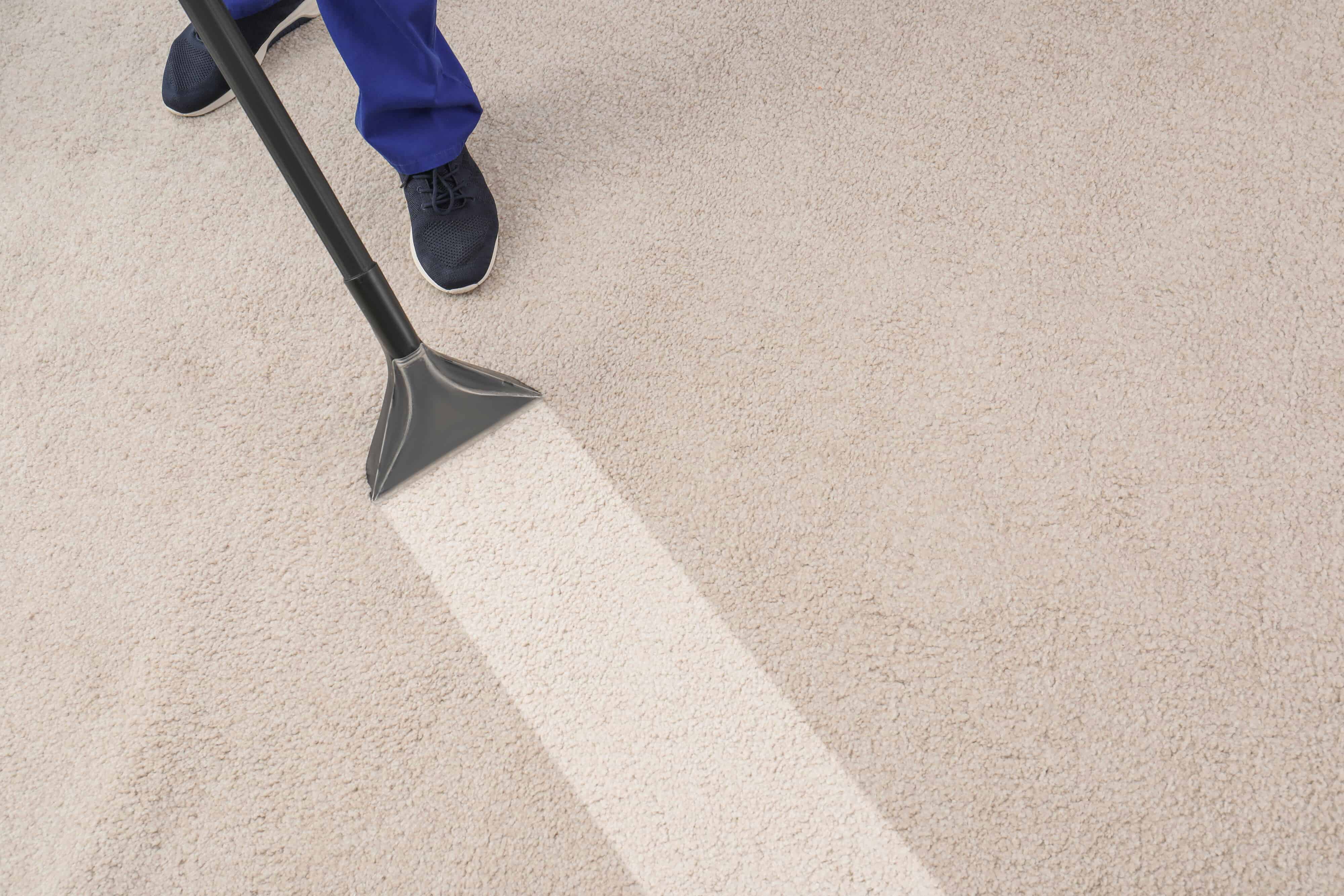 7 Tips For Drying Wet Carpet And Preventing Mold Growth - Carpet to Go